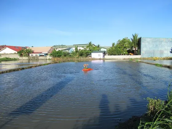 Bidang kerja Pertanian